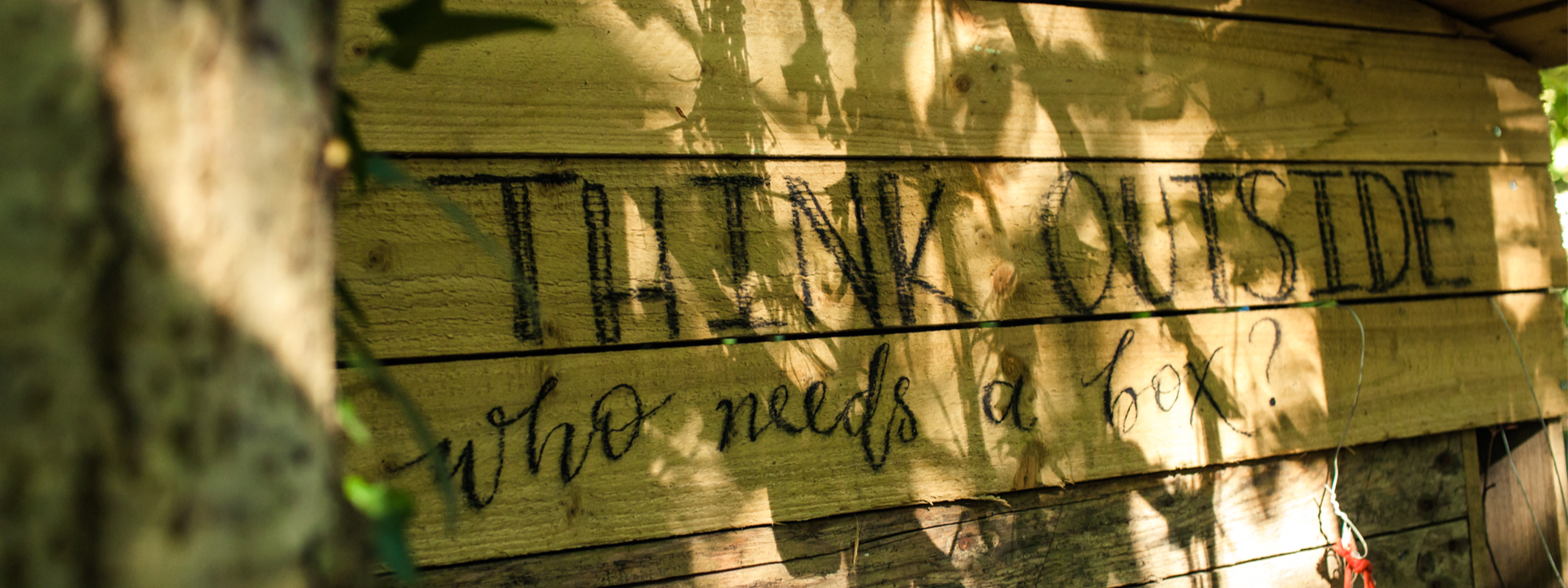 Header Image 1